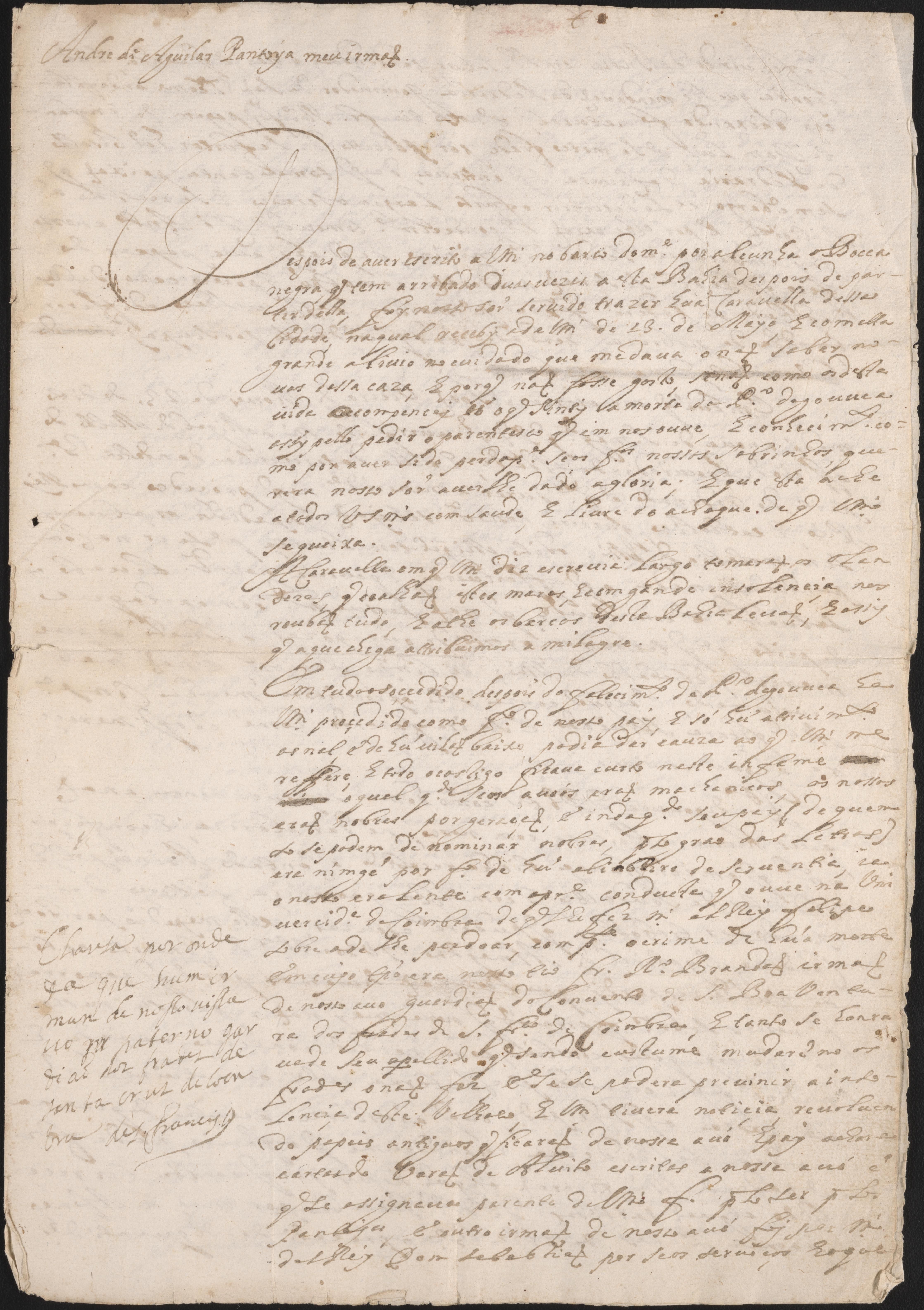 Gouvea, Brandão, and Pantoja Archive